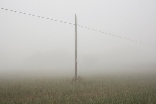 electricity pole in the fog