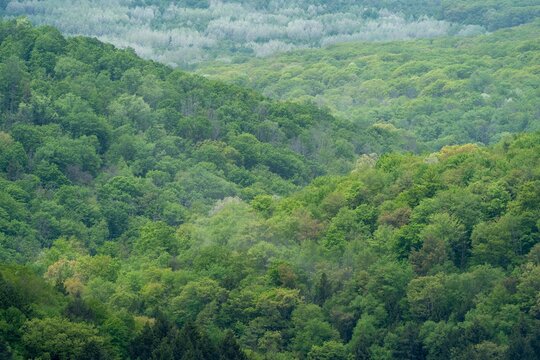 Pine Creek Gorge