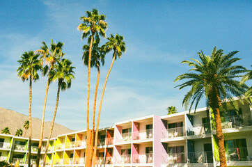 Palm trees in front of hotel balconies