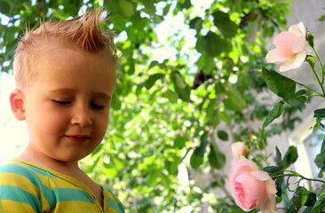 cute boy stands near a rose bush and watering it on a summer day, selective focus.