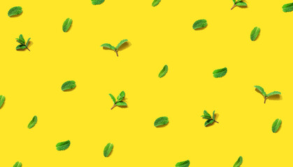 Fresh mint leaves overhead view