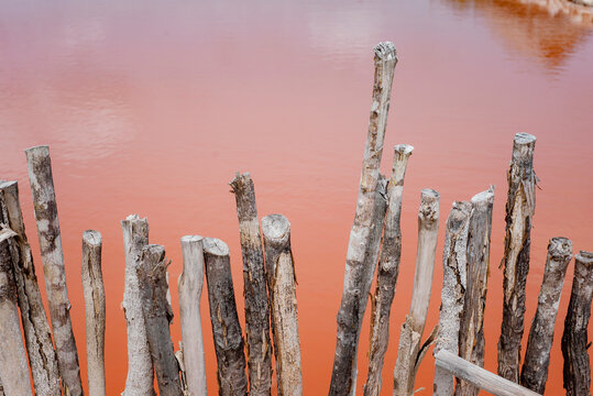 SALT FACTORY