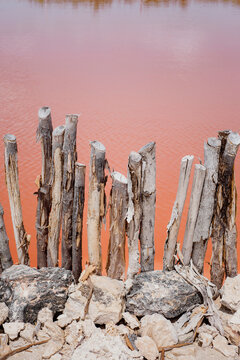 SALT FACTORY