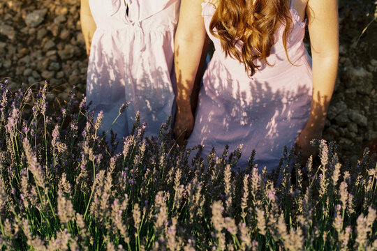 Lavender.