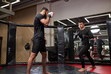 Strong Confident Fighter or Wrestler Training With Professional MMA Fighter At Gym In Ring, Preparing For Competition Together