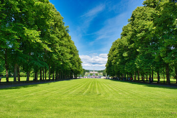 Ein Park mit einer Baumallee dazwischen grüner rasen