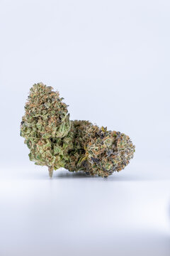 Cannabis Flower Macro - Strain: G13