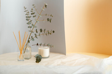 Eucalyptus branches bouquet in vase and Aromatic home perfume sticks, air freshener candle. Home...