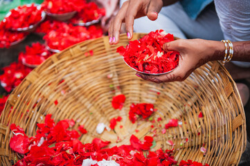Young woman preparing red flower petals for  a spiritual ritual of Ganga Aarti