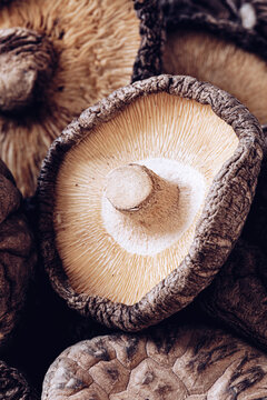 Shitake mushrooms