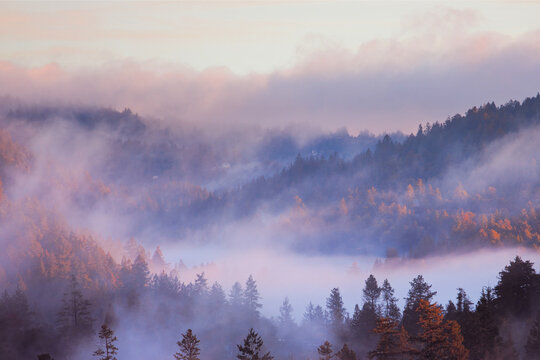 Beautiful vista