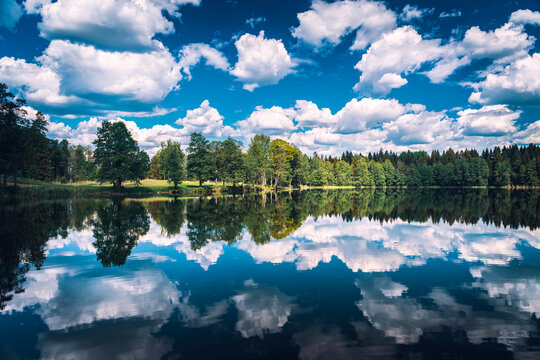 The serene surface of the lake with a reflection of clouds and trees. Seliger Lake. Russia. High quality photo