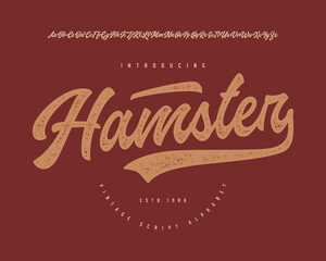 Hamster. Original Brush Script Font. Retro Typeface. Vector Illustration.