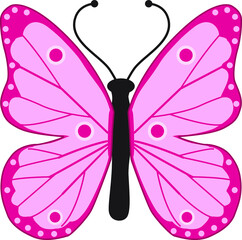 Butterfly with spots on white background. Vector illustration