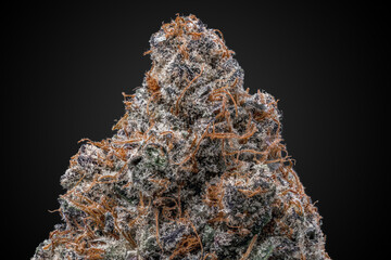 Cannabis Flower Macro - Strain: Chem