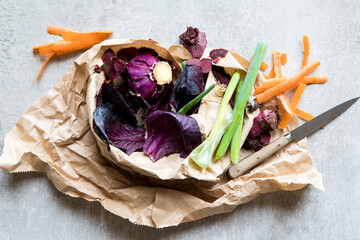 Kitchen food scraps for composting
