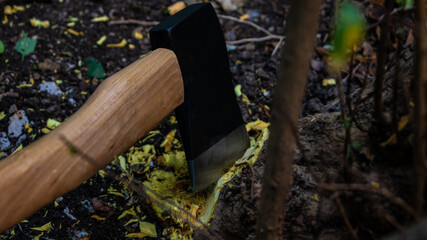 Throwing tree with an ax