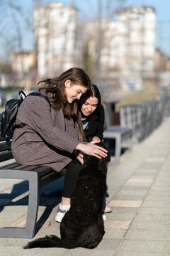 Kind Teenage Girl Friends Caring about Stray Dog
