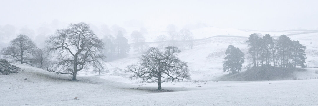 Rydal in winter lake district
