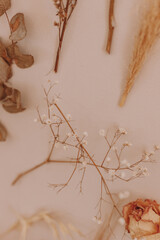 dried flowers  on the wall
