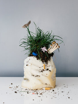 Manipulation Still Life 