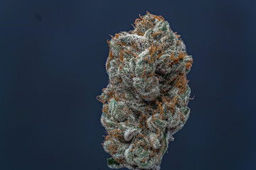 Cannabis Flower Macro - Strain: Tahoe Cookies