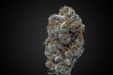 Cannabis Flower Macro - Strain: Tahoe Cookies