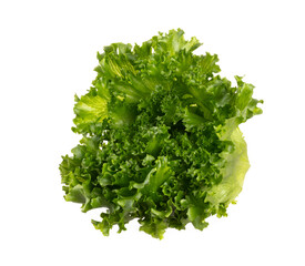 Fototapeta premium Salad leaves Bio lettuce isolated on white background.