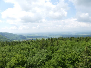 Sicht auf den Schwarzwald