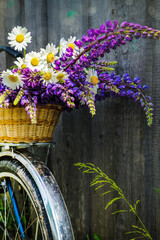 bouquet of wild flowers in a basket and on a bicycle