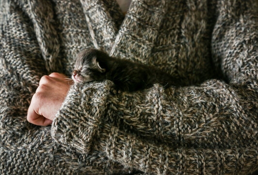 Newborn kitten in owner&rsquo;s arms