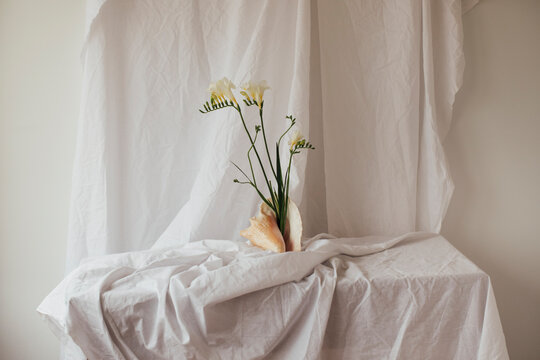 freesia flowers in a seashell