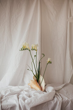 freesia flowers in a seashell