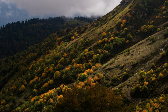  misty landscape in the mountains