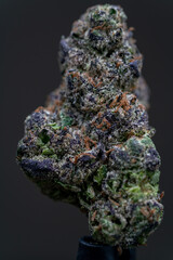 Cannabis Flower Macro - Strain: Sunset Sherbet