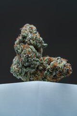 Cannabis Flower Macro - Strain: Punch Breath