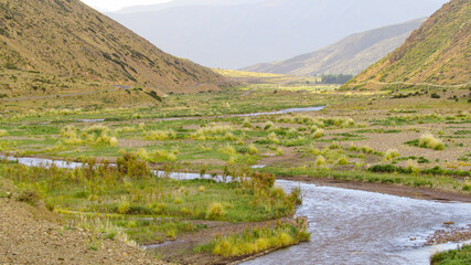 Fototapeta na wymiar Sur de la Cordillera de los andes