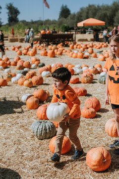 Children at Pumpkin Patch Selecting Pumpkins