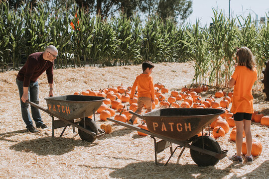 A Family Picks Pumpkins at a Patch for Halloween