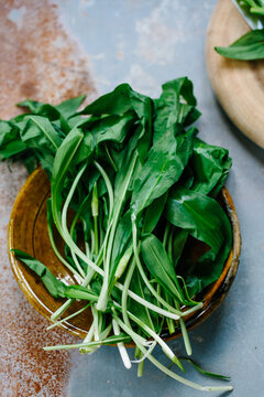Wild garlic leaves