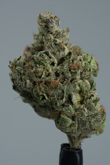 Cannabis Flower Macro - Strain: Ice Cream Cake