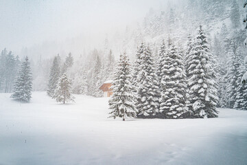 casa di Cappuccetto rosso
