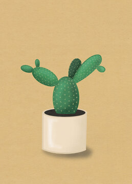 Angel wings cactus