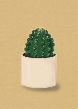 Barrel cactus