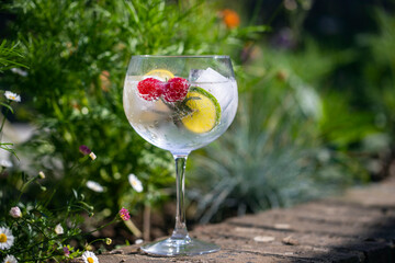 Gin and toinic drink in the garden on summer day - obrazy, fototapety, plakaty