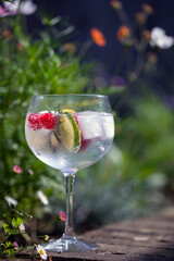 Gin and toinic drink in the garden on summer day