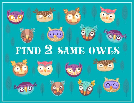 Find two same owls kids maze game. Vector riddle with cartoon birds in forest, educational children riddle worksheet, leisure activity puzzle with different funny owlets characters and tree leaves