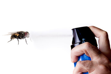 man's hand throwing insecticide spray on a fly