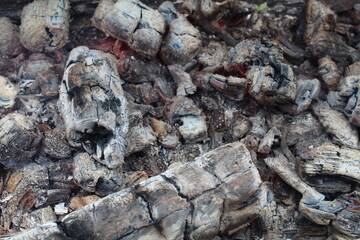 background and ash charcoal gray blacks with red stained streaks close-up. The aftermath of the fire. Ashes. bonfire