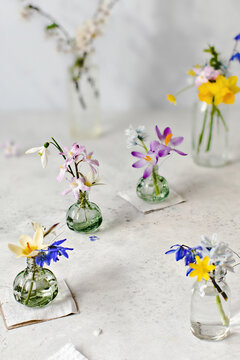 Display of various colorful flowers 
